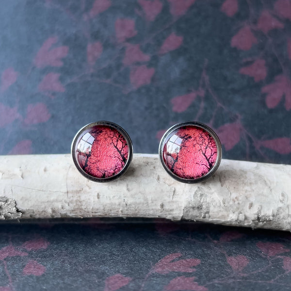 Earrings - Gum Trees After Fire - Studs