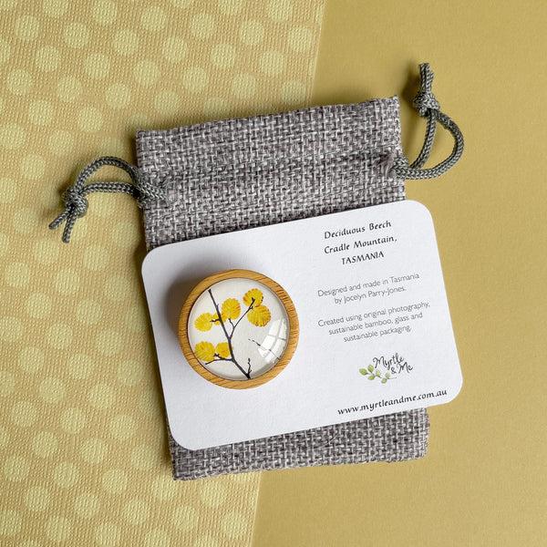 Brooch - Deciduous Beech