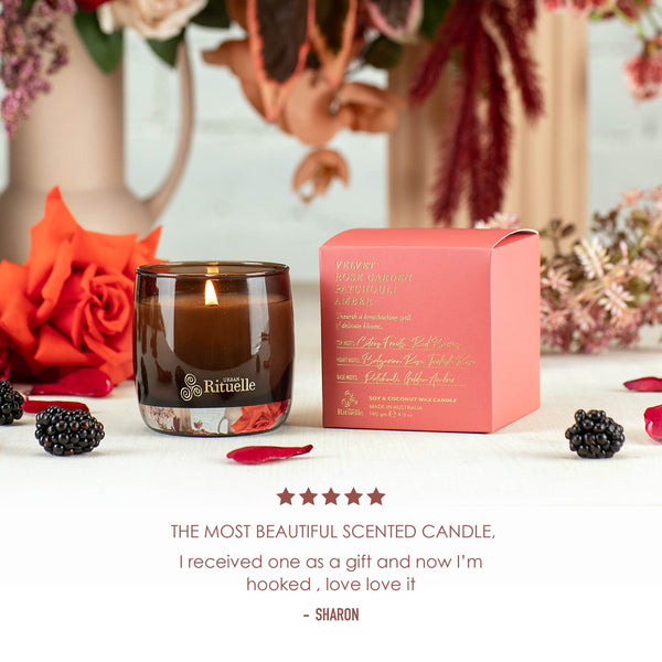 Velvet Rose Garden Patchouli Amber - Soy & Coconut Wax Candle