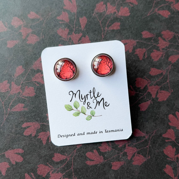 Earrings - Gum Trees After Fire - Studs