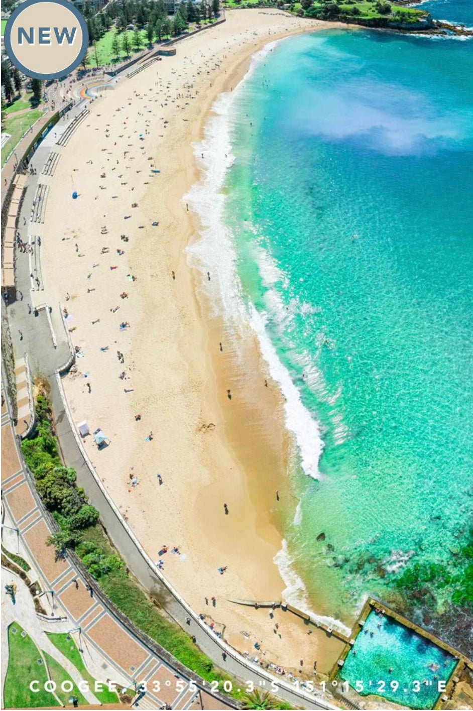 Coogee Setup Tea Towel