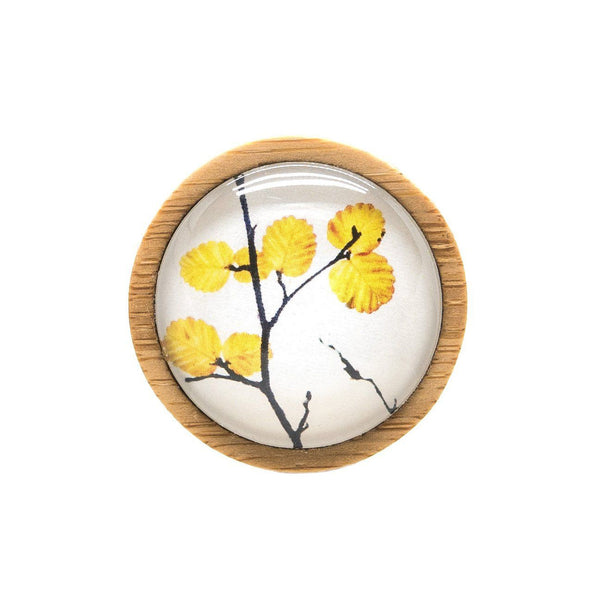 Brooch - Deciduous Beech