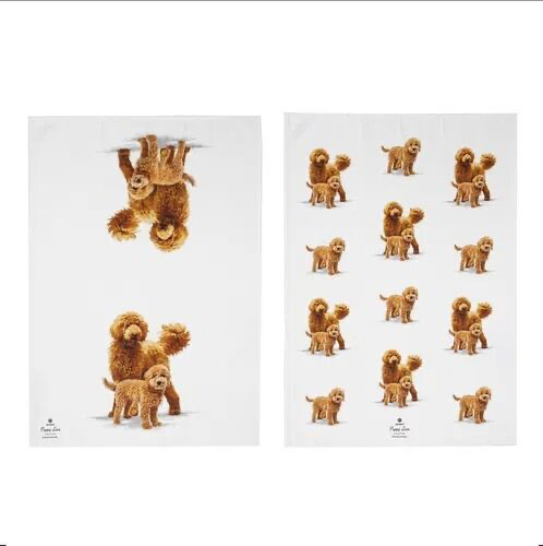 Puppy Love Kitchen Towel 2pk - Groodle