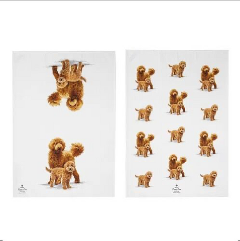 Puppy Love Kitchen Towel 2pk - Groodle