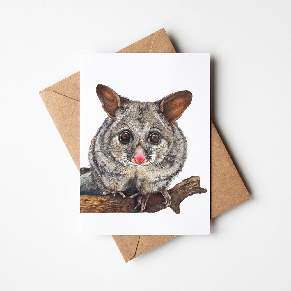 Greeting Card - Brushtail Possum