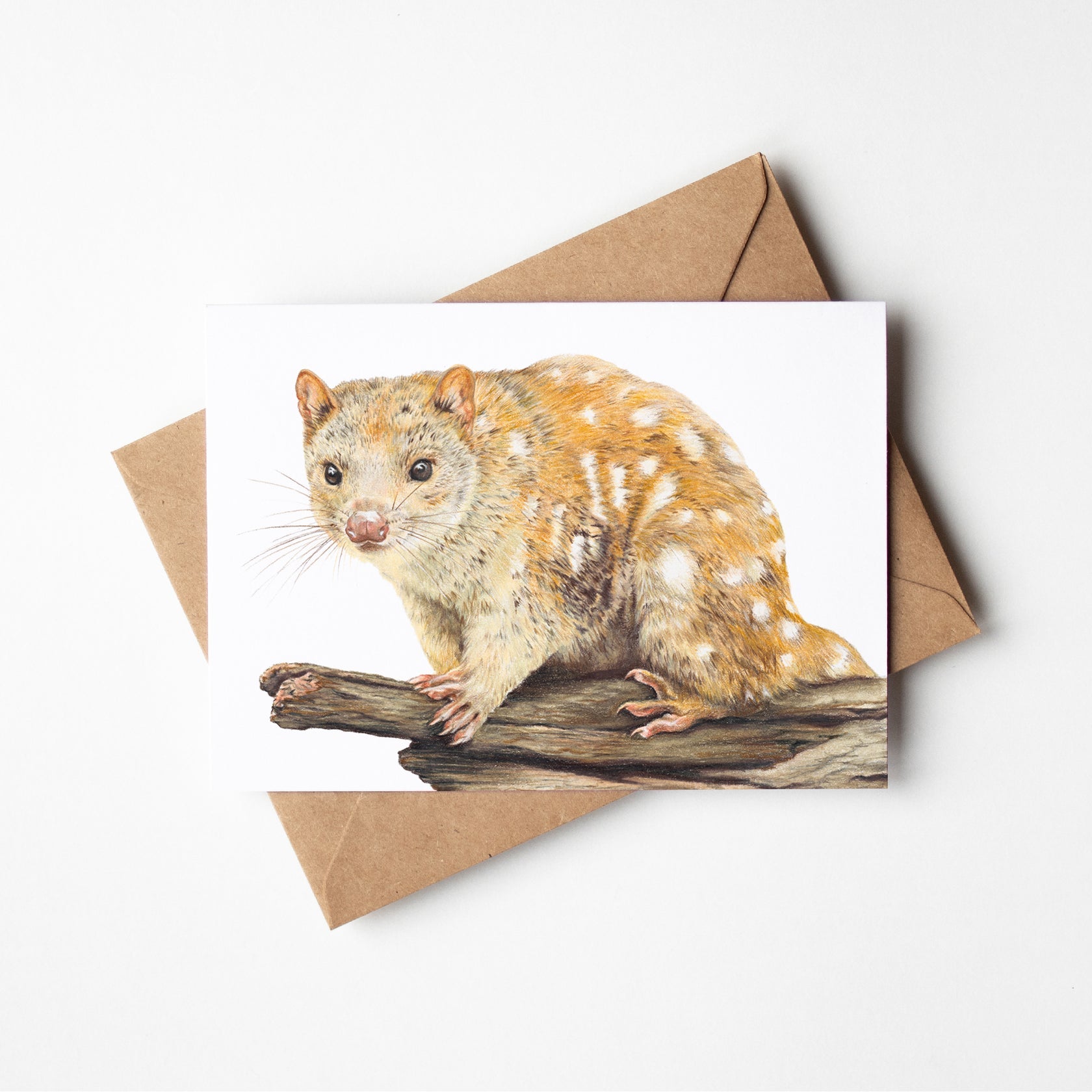Greeting Card - Spotted-tailed Quoll
