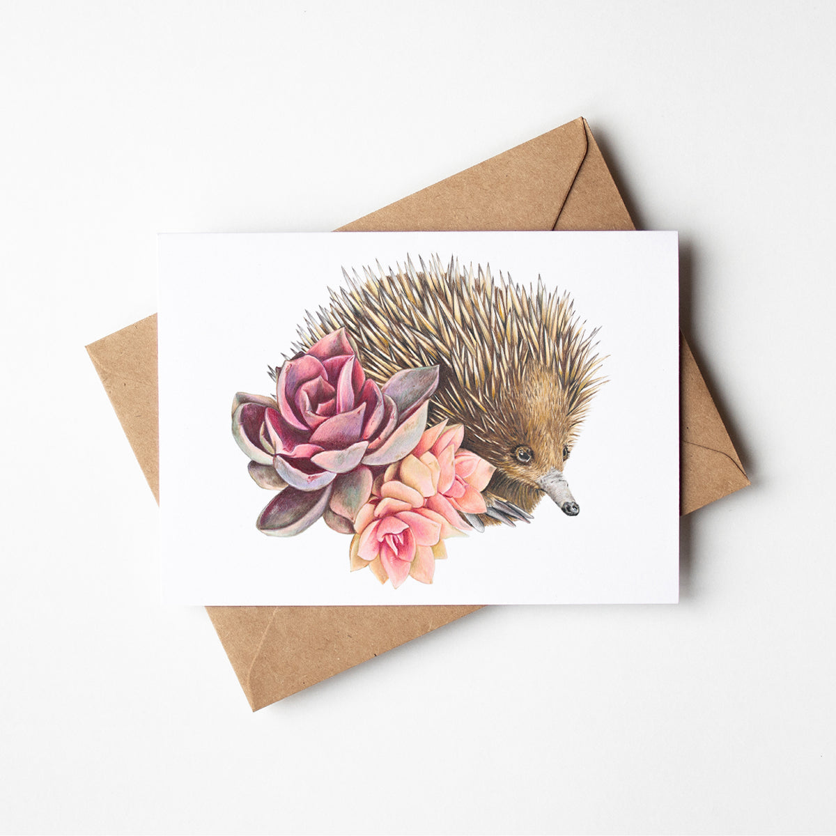 Greeting Card - Short-beaked Echidna