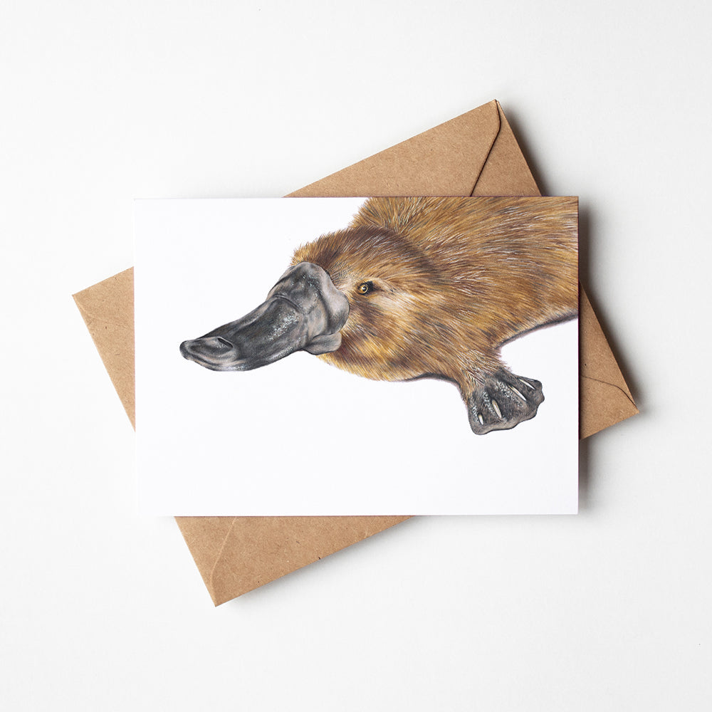 Greeting Card - Platypus