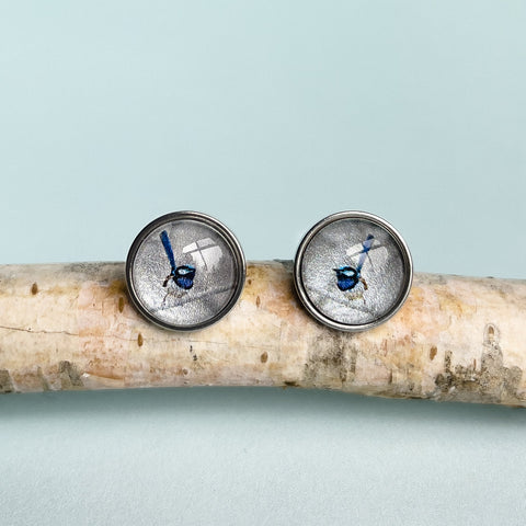 Earrings - Blue Wren - Stud