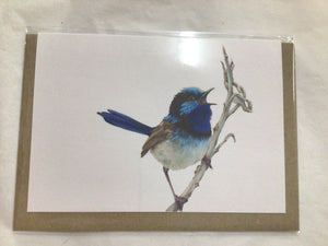 Greeting Card - Blue Wren
