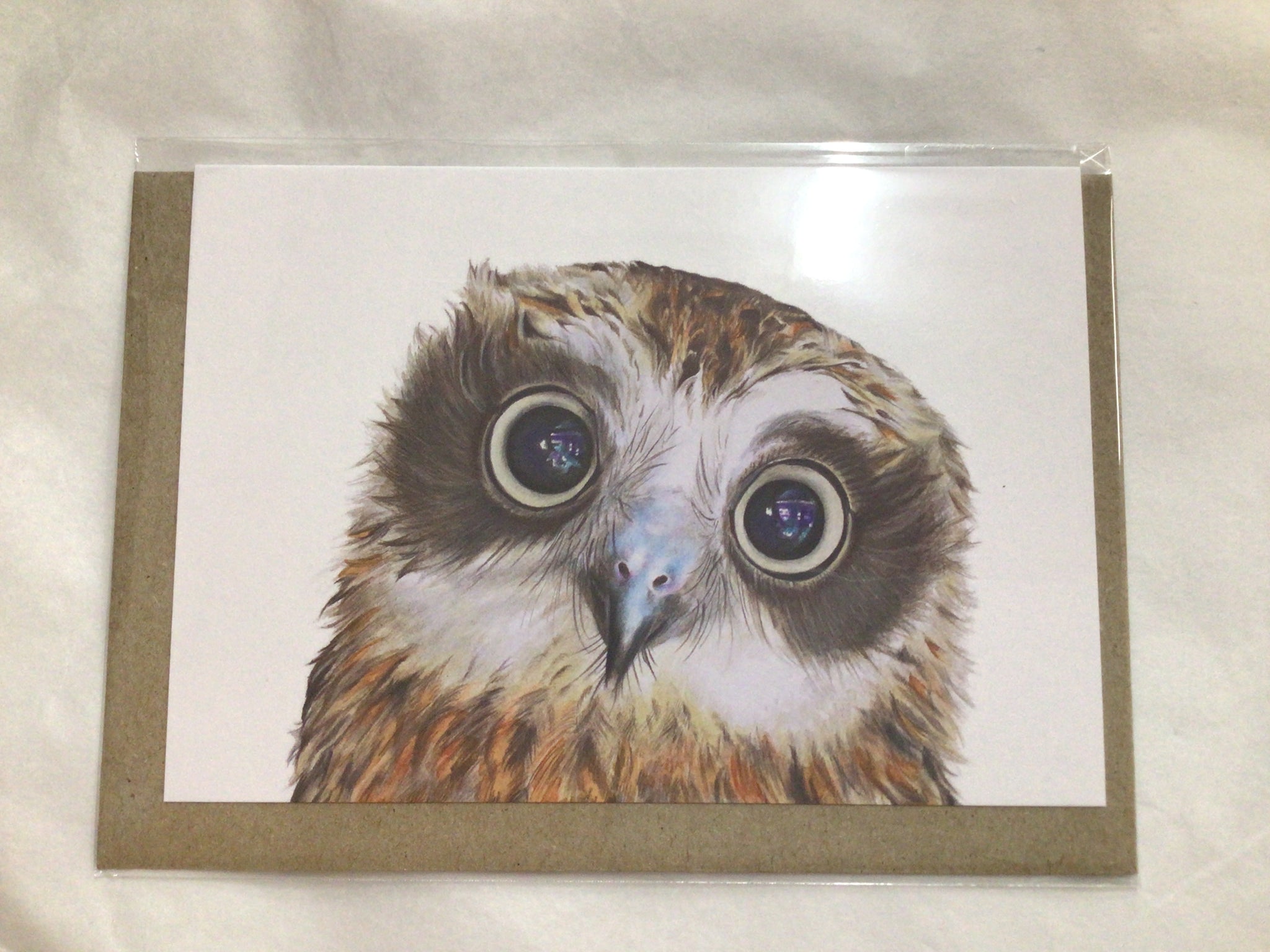 Greeting Card - Boobook Owl